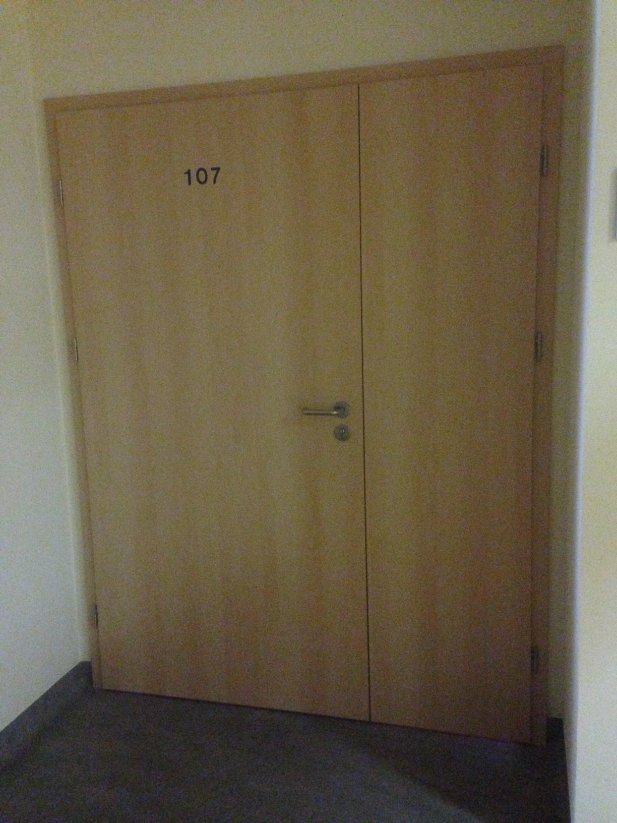 Szersze drzwi prowadzące do laboratorium